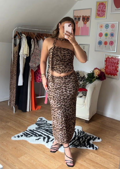 Ensemble leopard